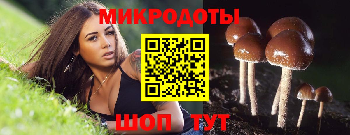 дарнет шоп  Вход с VPN  Новоалександровск  Псилоцибиновые грибы Psilocybine cubensis  Галлюциногенные грибы Psilocybe 